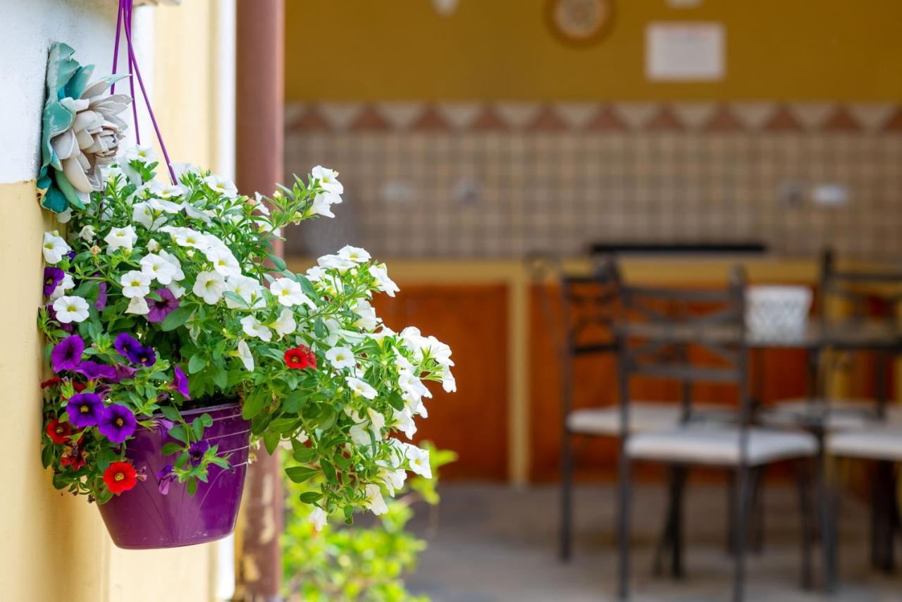 B&B Martina Agropoli Exterior foto